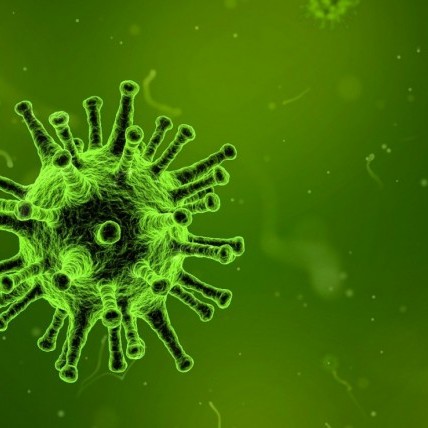 Ayudas para paliar el impacto del Coronavirus en los suministros de Luz y Gas